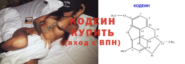 apvp Бородино