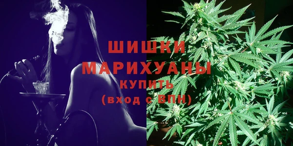 мдпв Богородск
