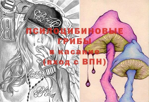 бошки Богородицк