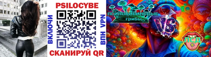 Галлюциногенные грибы Psilocybe  Оха 